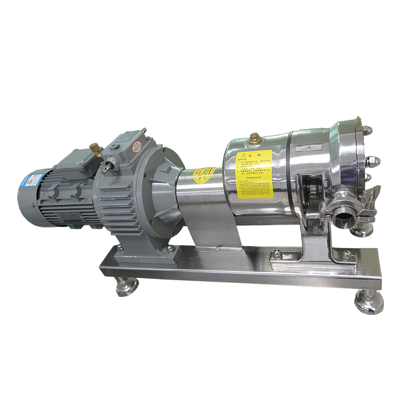 Stainless steel rotor pump